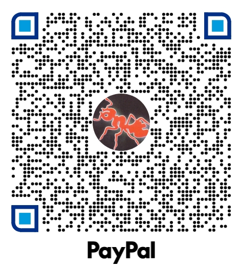 PayPal
